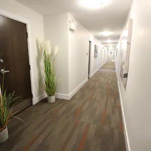 https://stardust-motel.halifax-hotels.org